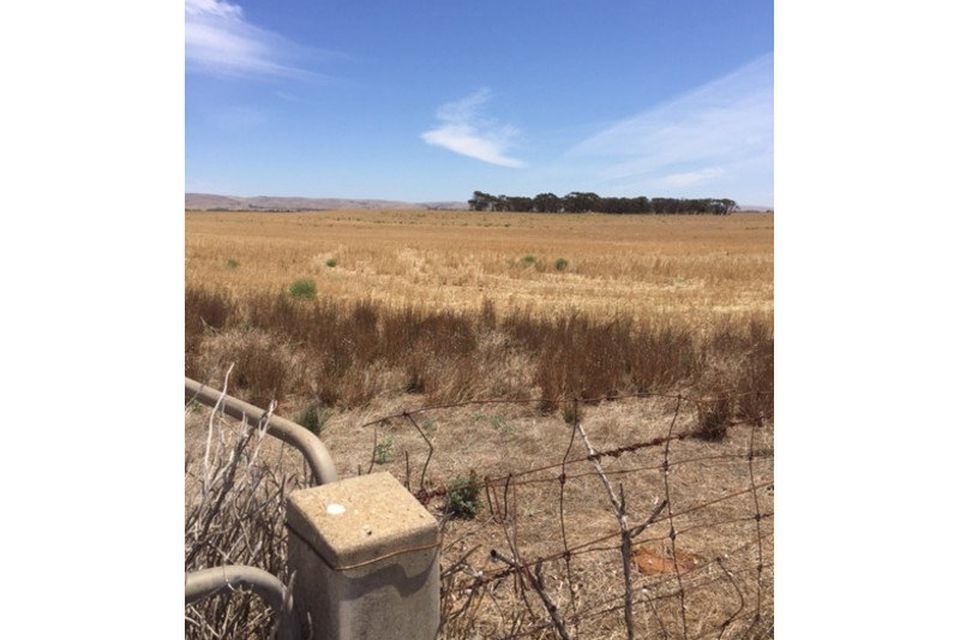 Angas Valley CE Property Group