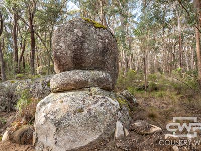 106 Warra Forest Road, Mount Mitchell