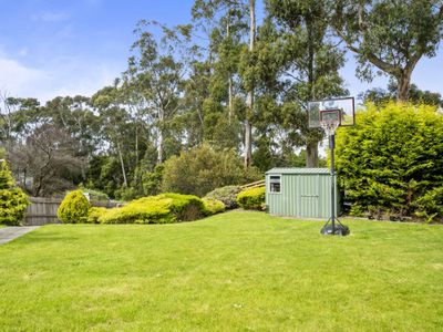 18 Drysdale Avenue, Kingston