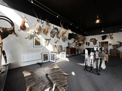 414-422 Princes Street, Dunedin Central