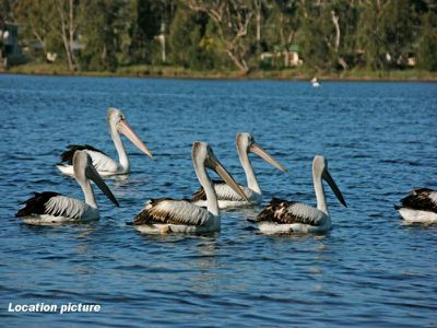 4 Casuarina Close, Burrill Lake