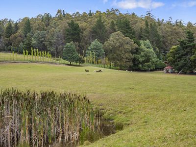 101 Coxs Road, Middleton