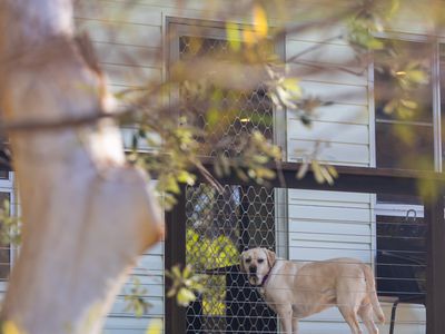 3 Pine Street, Bendalong