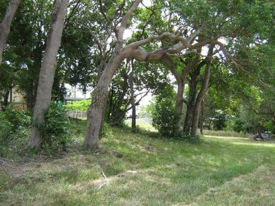 55 Charlotte Street, Cooktown