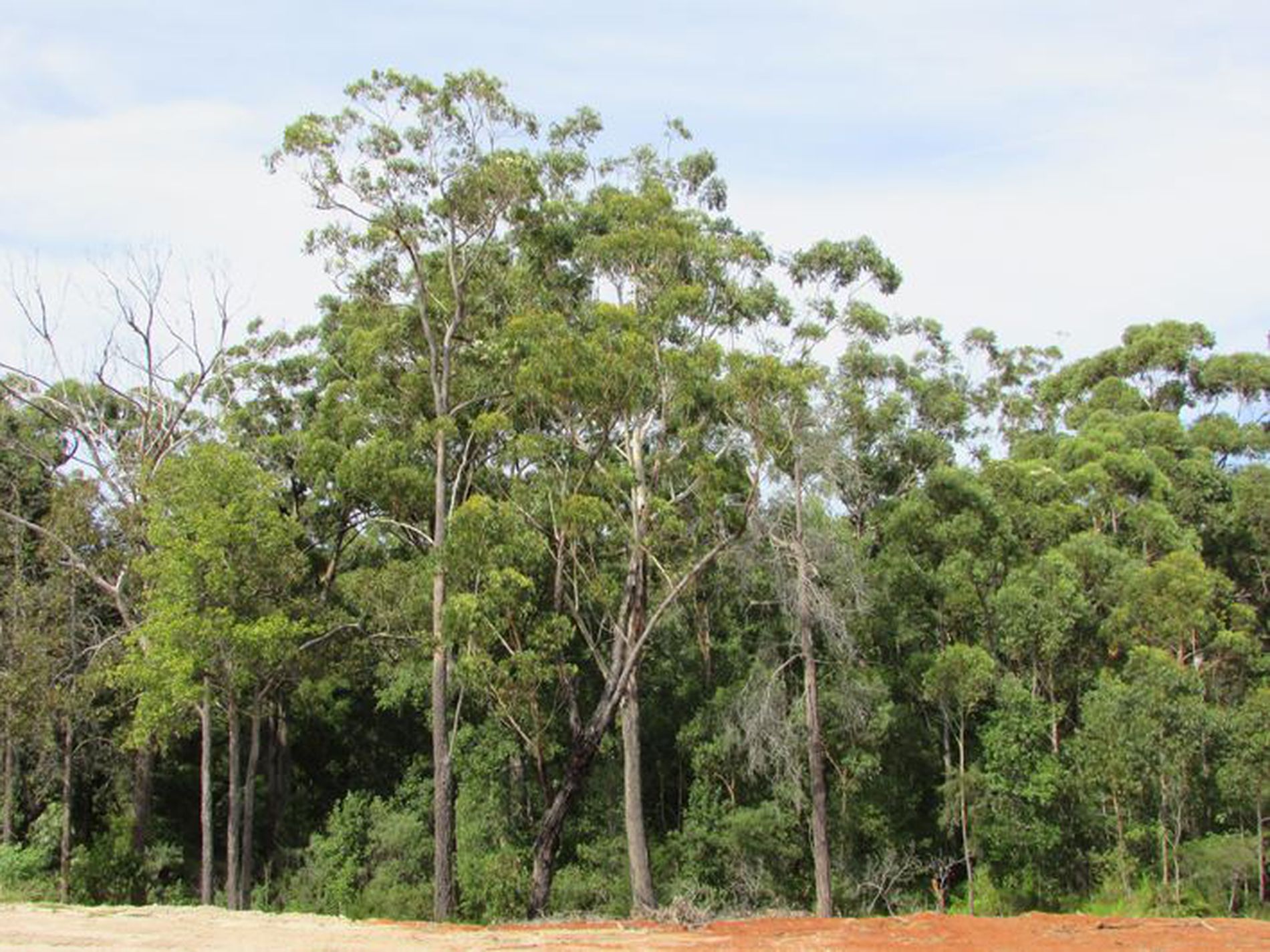 7 Kamala Avenue, Ulladulla