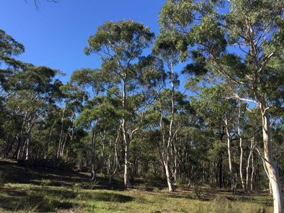 243 Jacquet Road, Braidwood