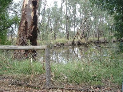64 RICHARDSON ROAD , Cohuna