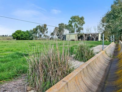 155 Yellow Box Road, Hilldene