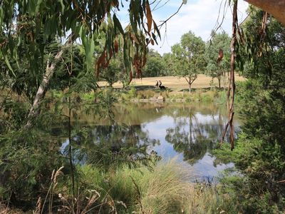 Spring Creek - In Planning...