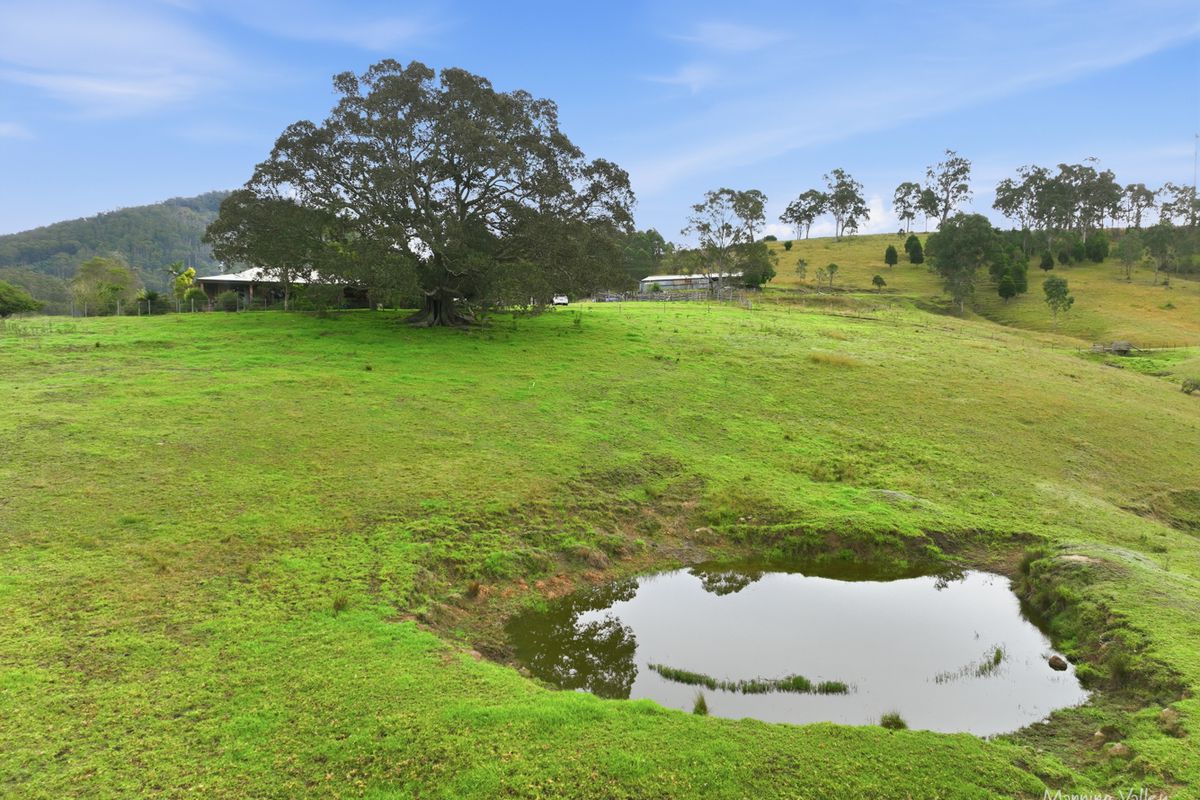 1577A Nowendoc Road, Mount George