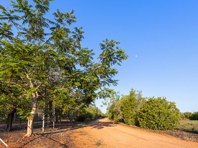 24 Yamashita Street, Roebuck