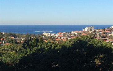 93 / 244 Alison  Rd, Randwick