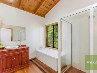 17 Nettleton Street, Mount Louisa