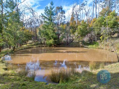 65 Bunstons Road, Tolmie