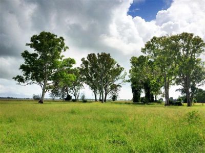 130 Myall Creek Road, Bungawalbin