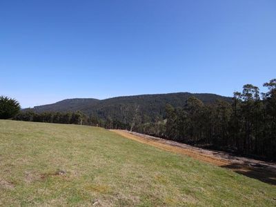 Lot 1, 100 Crosswells Road, Pelverata
