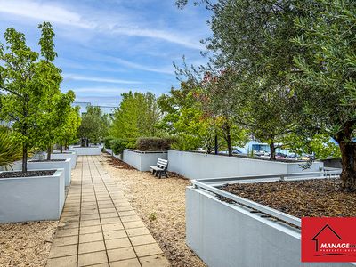 33 / 43 HIBBERSON STREET, Gungahlin