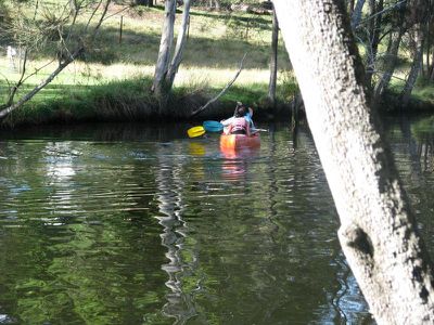 Morisset