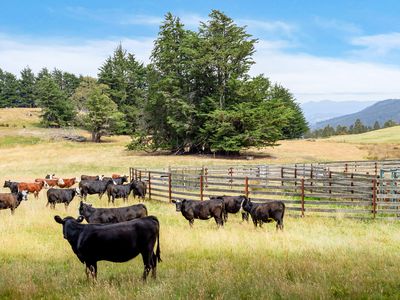 160 Coal Mine Road, Kaoota