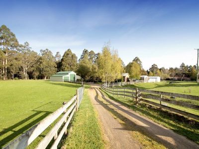 15 Wattle Hill Road, Mountain River