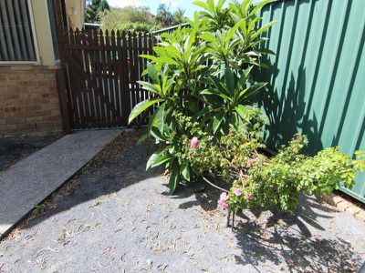 3 Blanch Place, Forster
