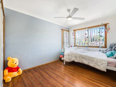 49 Anthony Drive, Rosemeadow