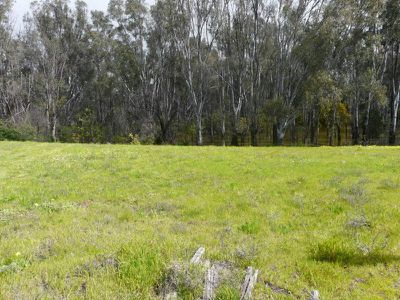 Lot 16, Lot 16 Barooga Road, Tocumwal
