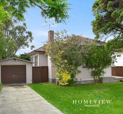 19 Dorothy Street, Chester Hill