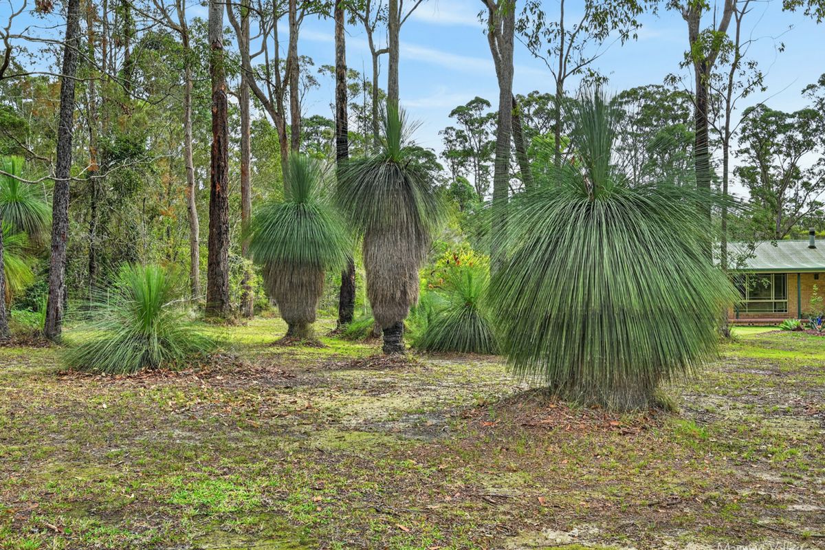 67 Iluka Circuit, Taree