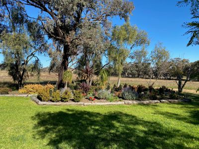 4570 Black Stump Way, Coolah