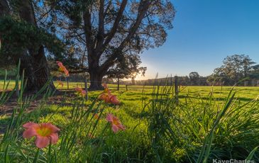 450 Woori Yallock Road, Cockatoo