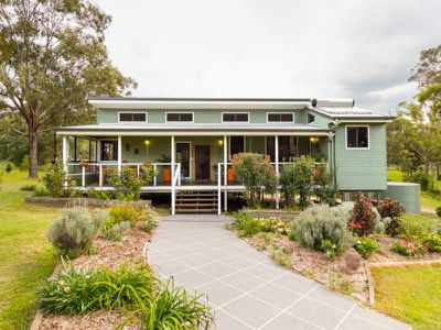 Blackbutt