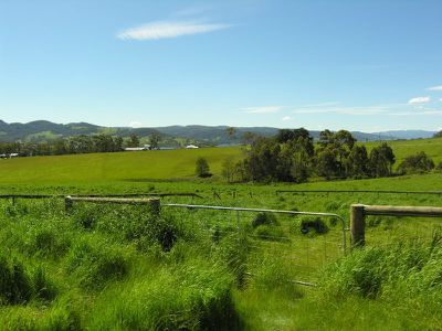 904A Cygnet Coast Road, Lower Wattle Grove
