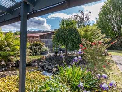 3392 Huon Highway, Franklin