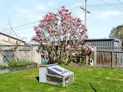 67 Johnson Street, Milton