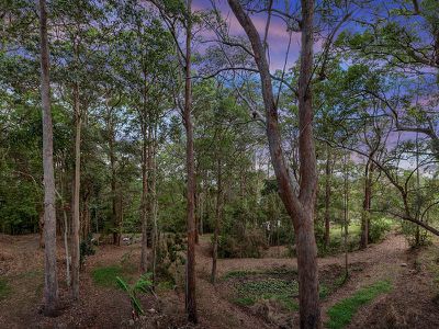 740 Diddillibah Road, Diddillibah