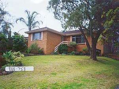 Mount Warrigal