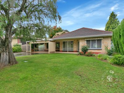 33 Cronulla Drive, Redwood Park