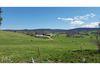 Backswamp Road, Dunkeld