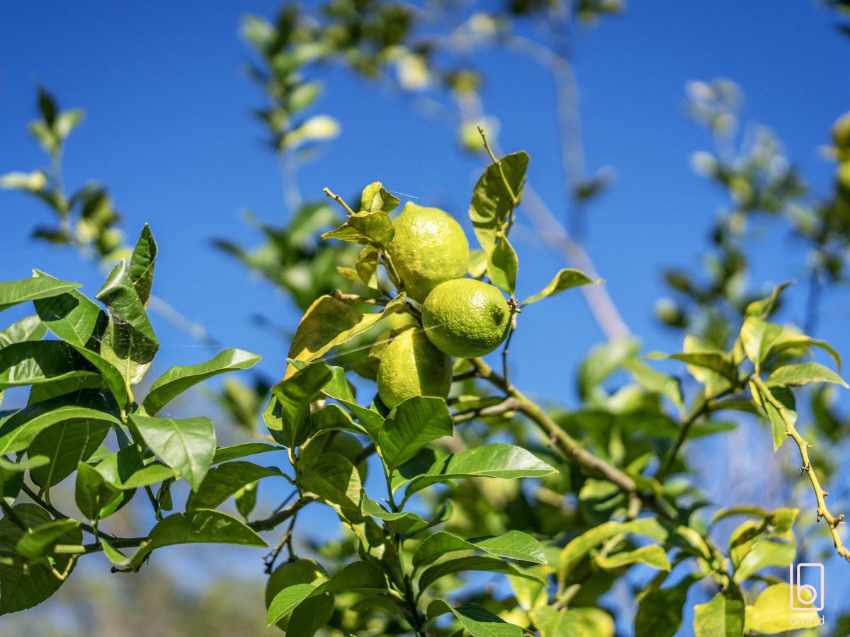 47 Church Road, Chittaway Point