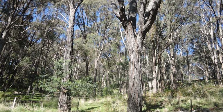 Harrys Creek Road, Strathbogie