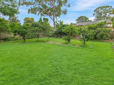 48 Wren Street, Condell Park