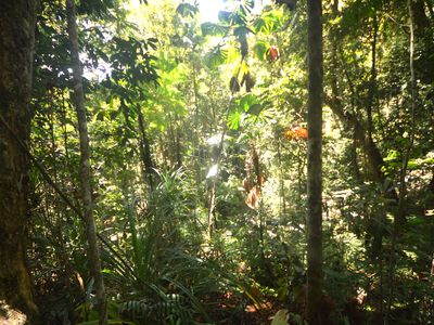 51 Waterfall Place, Jubilee Heights