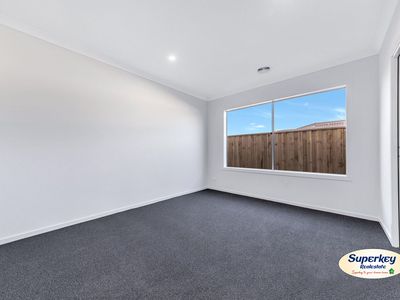 11 Asperula Street, Tarneit