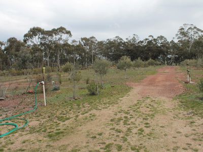 Lot 1  Tait Hamilton Road, Gobarup