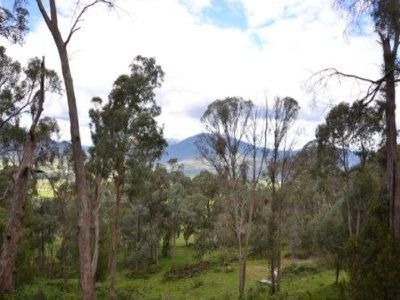 Lot 8, Diggings Road, Tawonga