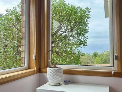 9 Ocean Grove, Carlton