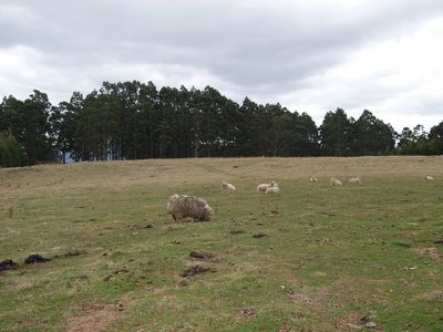 256 Lightwood Road, Glen Huon