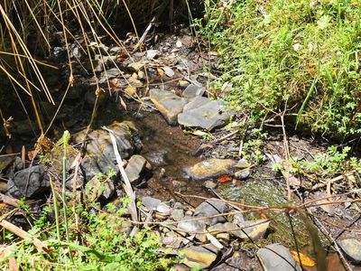 Lot 9, Esperance Coast Road, Dover