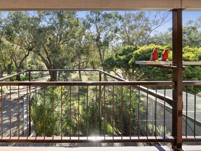 51 Jenkin Road, Macs Cove